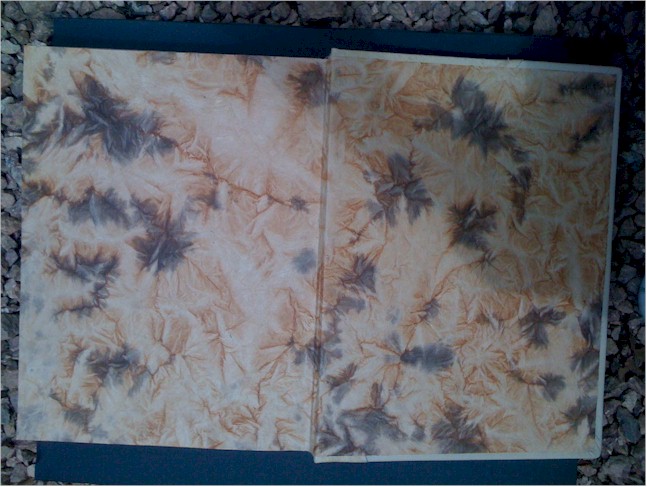 Pages de gardes du livre monstrueux