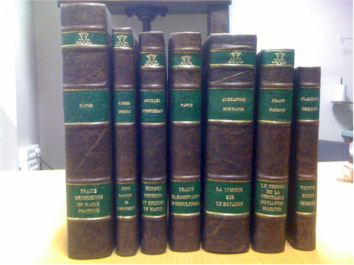 La bibliothque sotrique de Monsieur D.